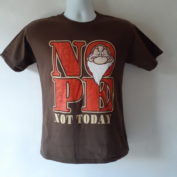 Disney Snow White's Grumpy boy's brown short sleeve graphic t-shirt size L